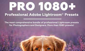 PRO 1080 Professional