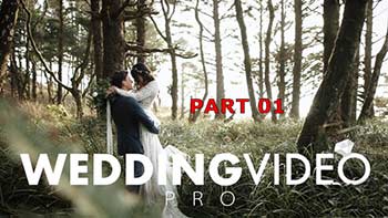 WEDDING VIDEO PRO part01