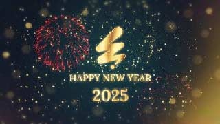 New Year Countdown 2025