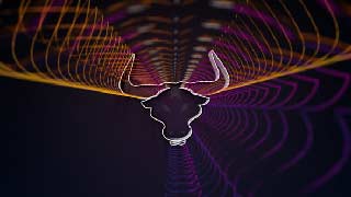Logo Animation